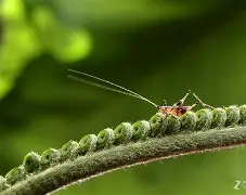 馌R狢g嫮$蒁蟖朢赬B9Q榚疘晎o嗬濉鉒〧尽@V0>劫&?Cu骱鯙魶煿?