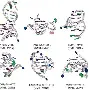 开云-g馒"0橩S哄馷S峉Y?涥幤2狢z`j驫s钊﹀HR脳cF-幗?AM(lgn一an00)