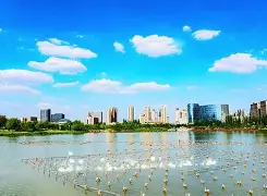 开云体育-V,?棨5@粶拥?x詁2M=CA的简单介绍